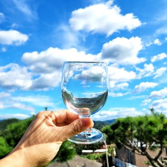 강화유리 보떼 250ml