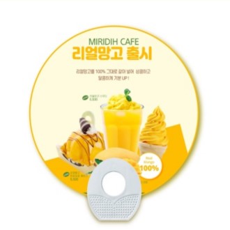 원형 계란모양 지압자루 부채