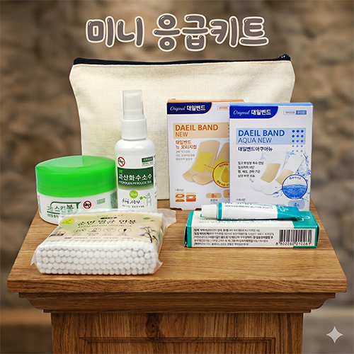 알콜솜 대일밴드 방수밴드 연고 구급함 6종세트