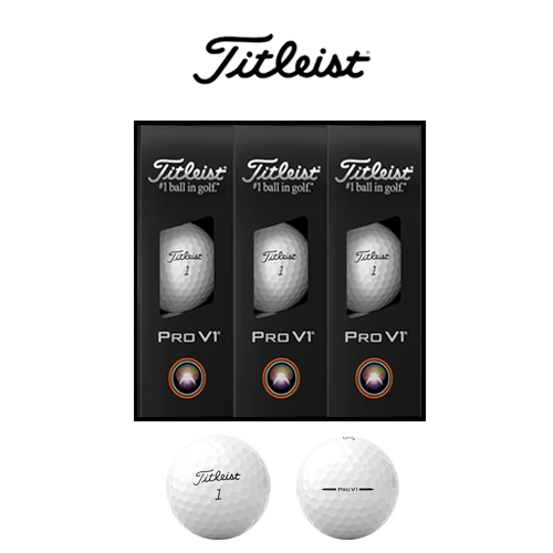 타이틀리스트 NEW PRO V1 9구 로고인쇄