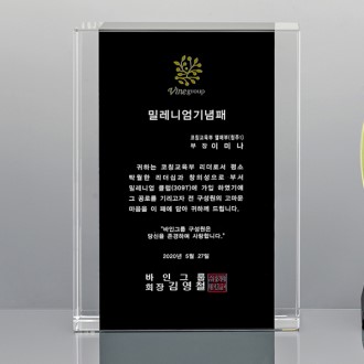 블랙크리스탈 상패 SD13)310-9