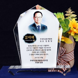 재직기념패 정년퇴임패 퇴직기념패 tks 036 컬러수채화