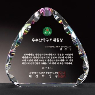 크리스탈감사패 회사공로패 [CR029] WSGD
