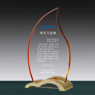 크리스탈 상패 SD13) 274-1