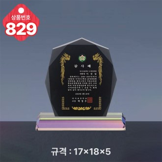 크리스탈 상패 829