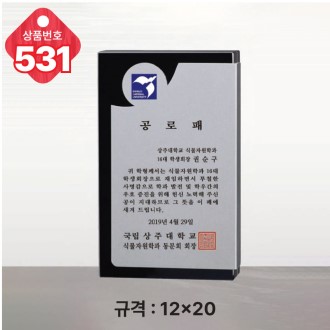 크리스탈 상패 531