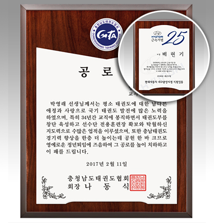 감사패 회사공로패 [NA031-032] WSGD
