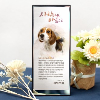 동물 기념패 상패 위패 감사패 동물 반려견기념품