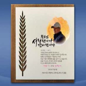 금장 실버상패 SD13) 358-1