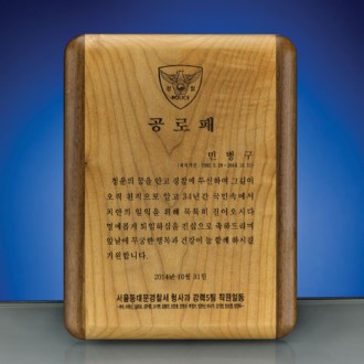 임명 퇴직기념 위촉 공로 감사패 SW-005-01