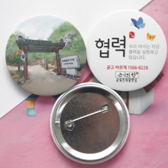 48 핀버튼