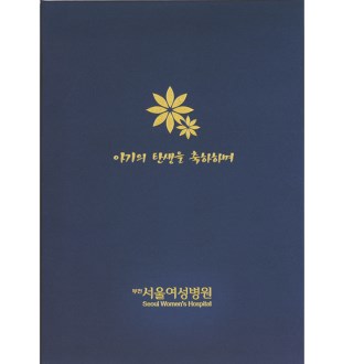 출생기록부