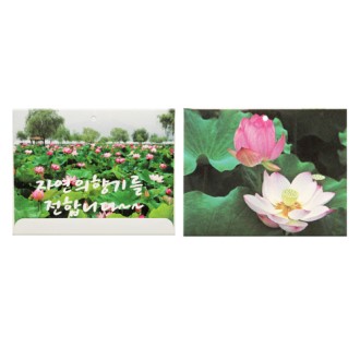 사세(멤브렌 방향제)-꽃-(가로형)