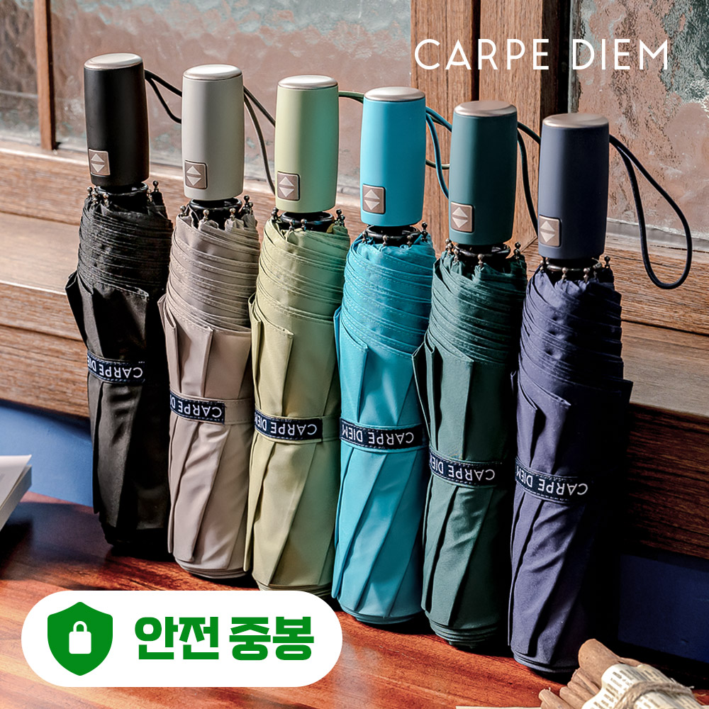 카르페디엠 3HHC050 안전중봉 3단 자동우산